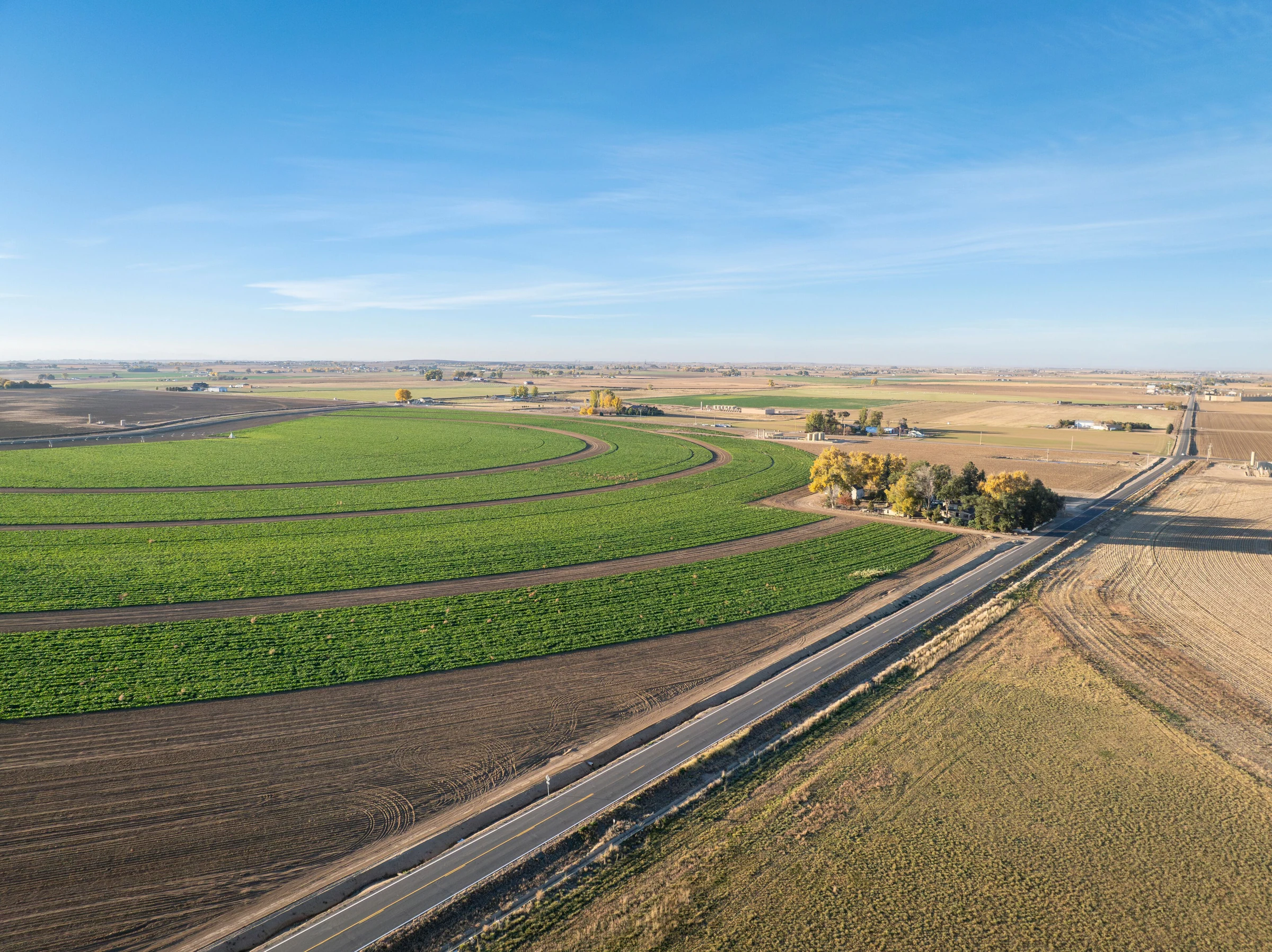 Commercial Roofing Contractors Eaton, CO