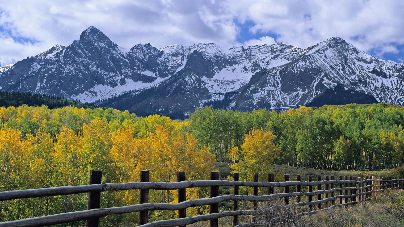 Commercial Roofing Contractors Timnath, CO