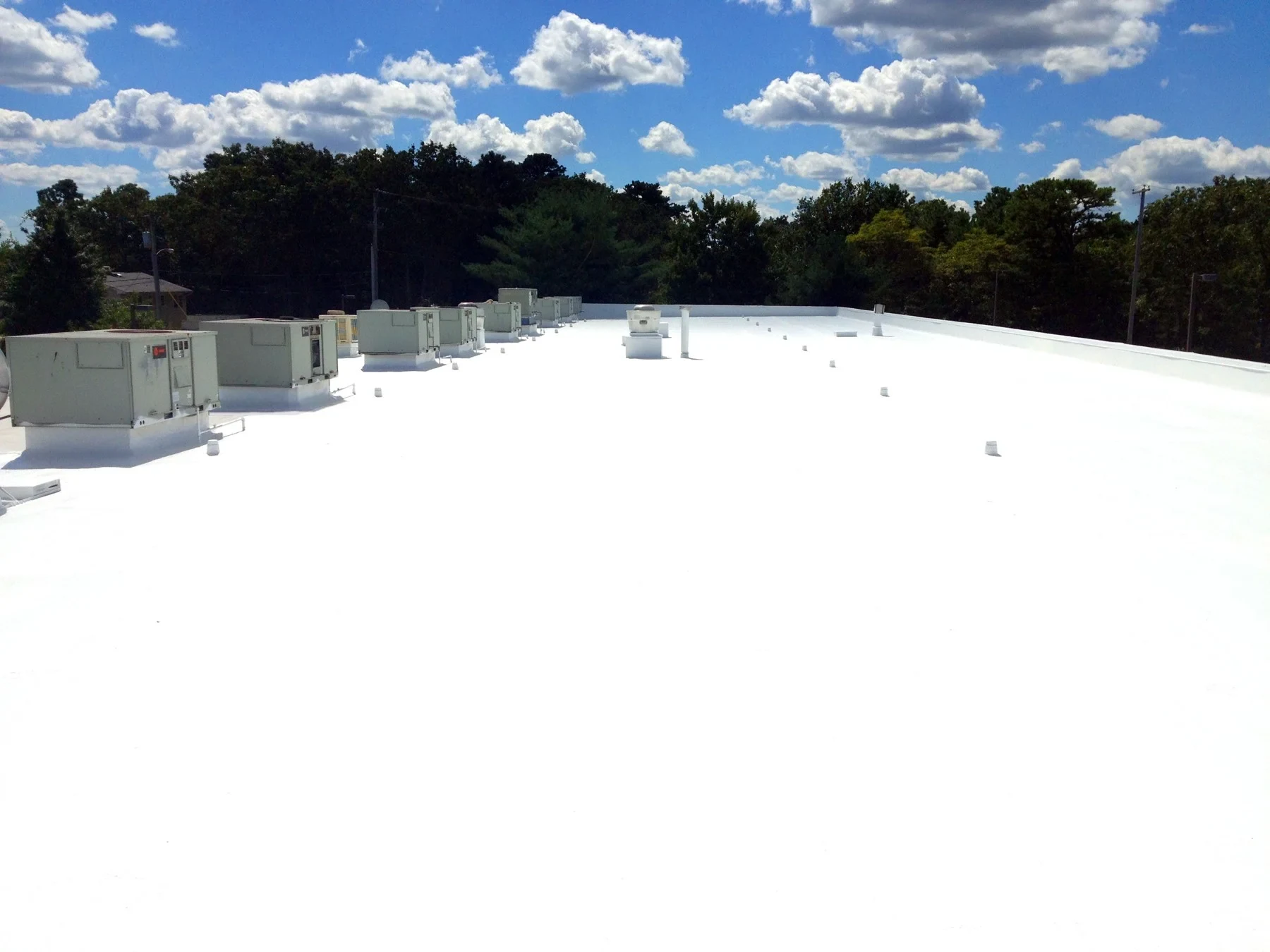 PVC Roofing in Fort Collins, CO